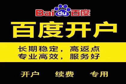 百度APP内推广：某产品的成功之路